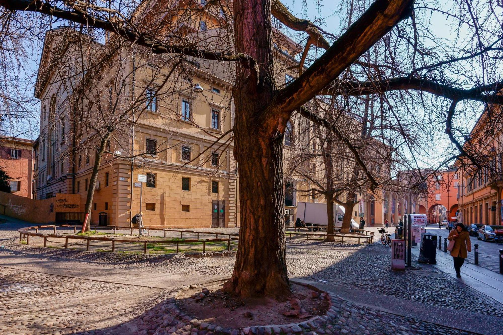 Zamboni 58 Apartment - Zona Movida Болонья Екстер'єр фото